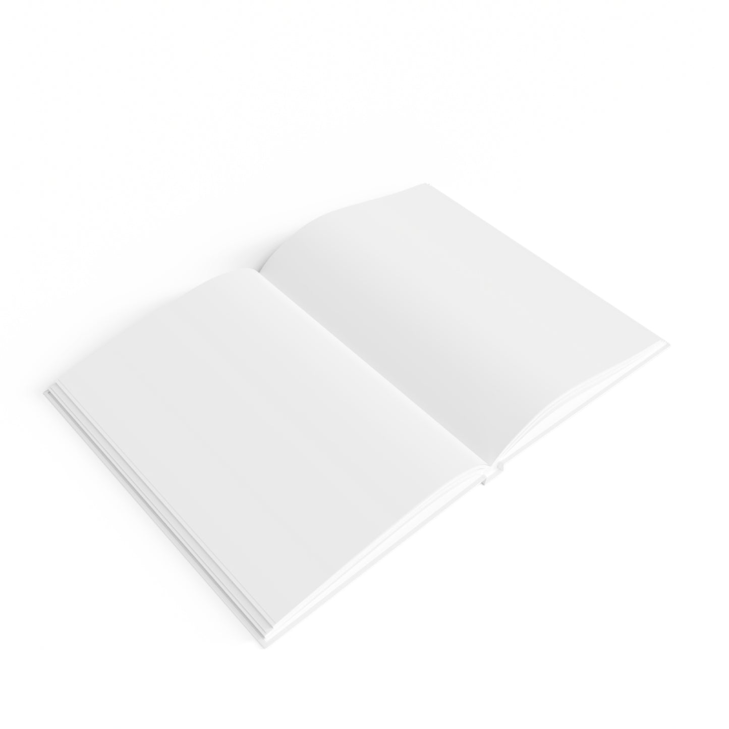 Mindfulness Journal